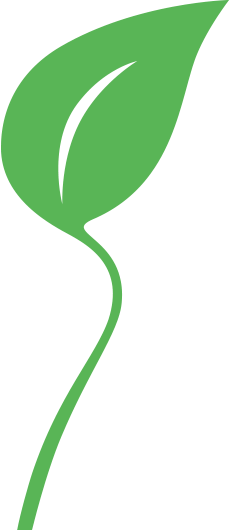 https://www.basca.tech/wp-content/uploads/2025/04/Home_sezione2_2_foglia_Sustainability_229x530px-1.png