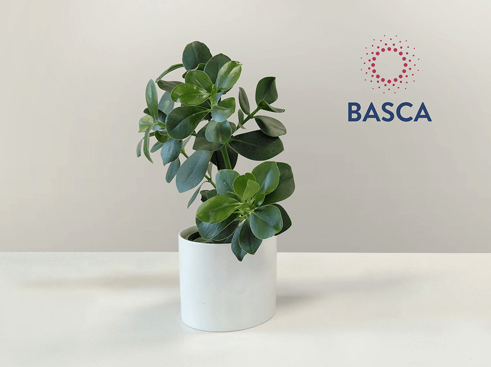 https://www.basca.tech/wp-content/uploads/2026/09/About-Basca_sezione_5_Focus_On_Sustainability_3-2.png